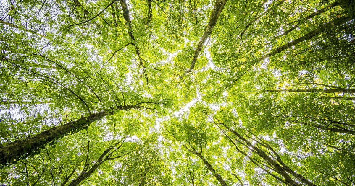 Portuguese Researchers Turn to Rocks for Storing Excess Renewable Energy